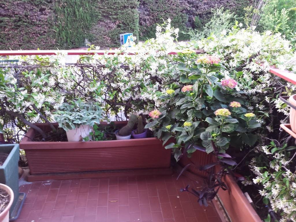 La Fontana Di Carlotta Bed & Breakfast Rome Bagian luar foto